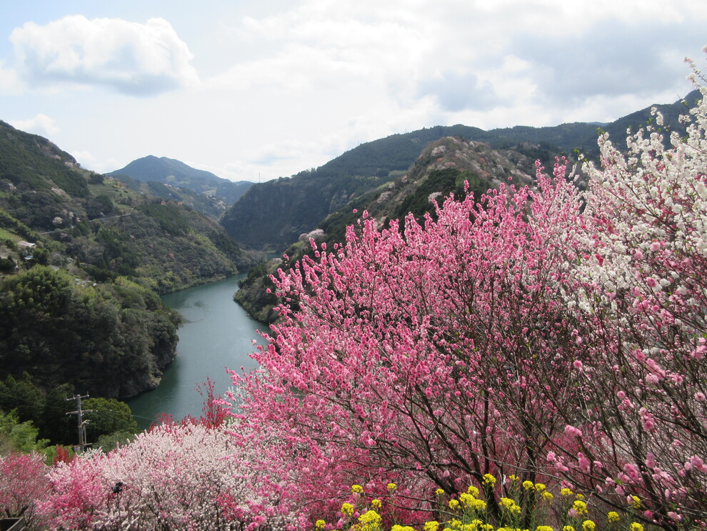 仁淀川町教育研究所