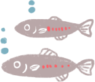 魚